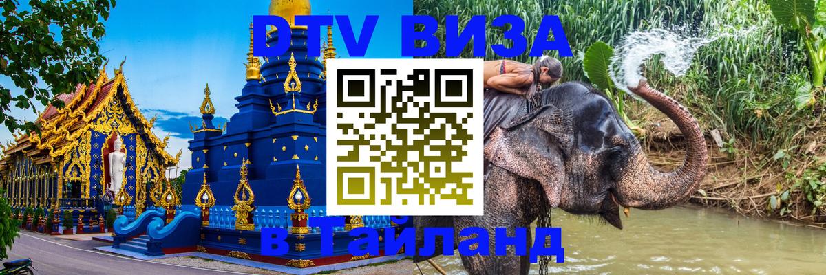 Сколько стоит DTV виза — актуальные цены, оформление даже без документов - 21.11.2025 